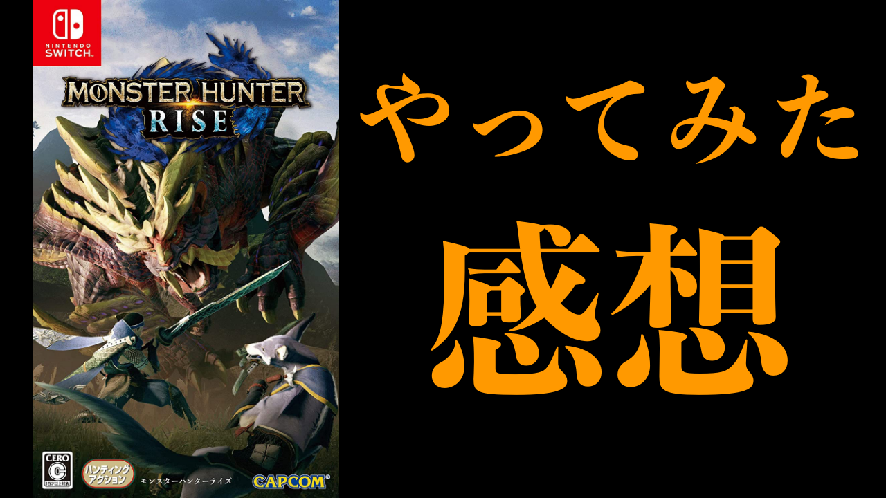 モンハンライズ モンハン大好きな26歳がやってみた感想 レビュー 評価 ばしおのゲームブログ